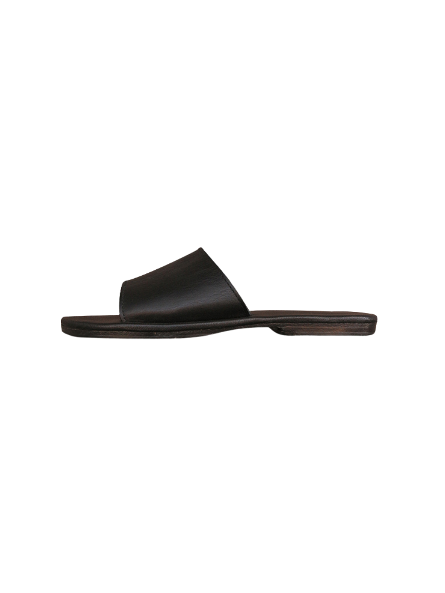 SARA Slides